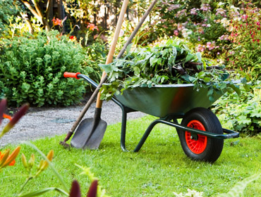 NDIS gardening and lawn mowing